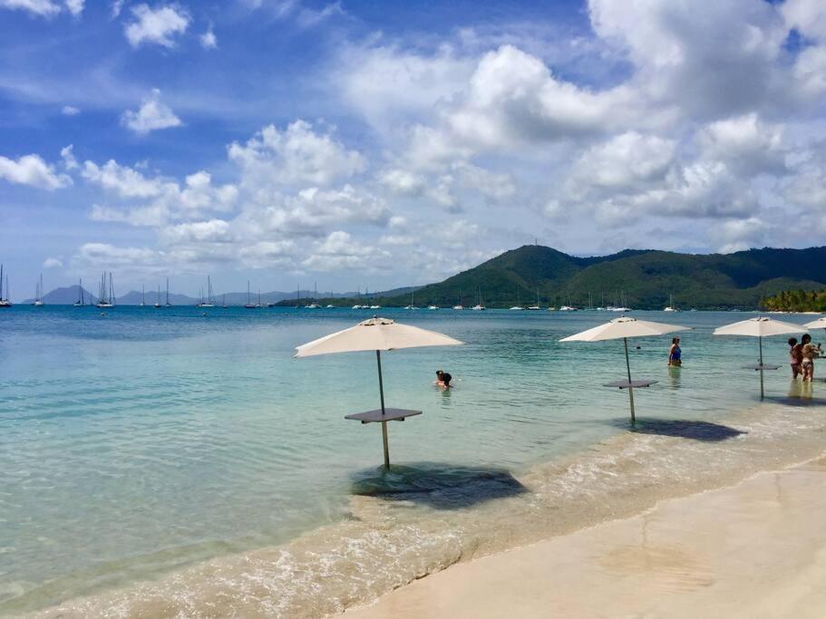 Hamo Tropical Piscine Proche Plage Apartment Sainte-Anne Luaran gambar