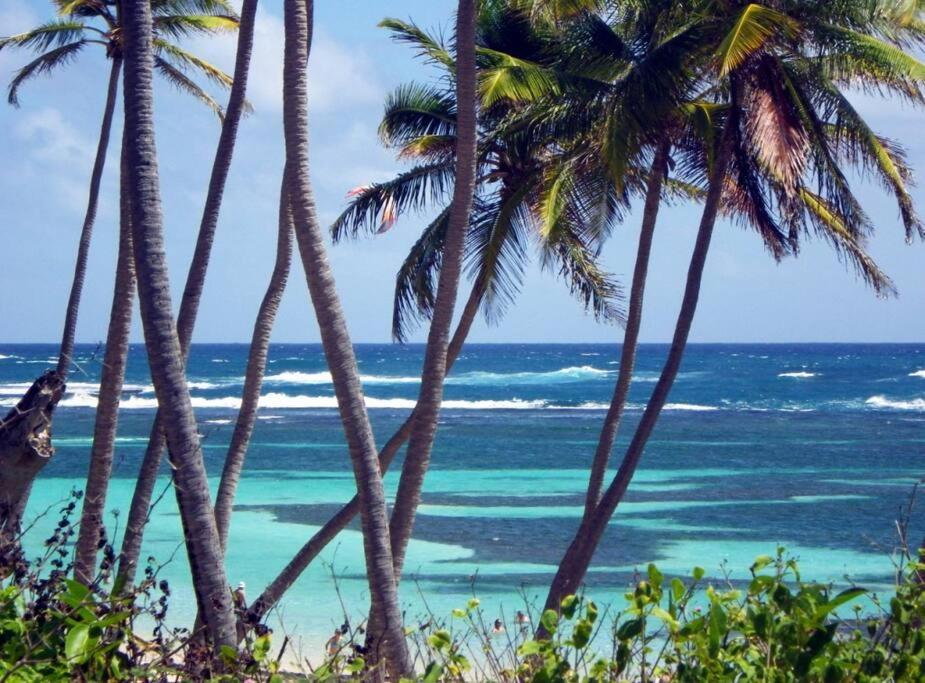 Hamo Tropical Piscine Proche Plage Apartment Sainte-Anne Luaran gambar