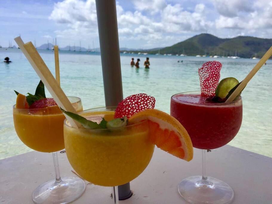 Hamo Tropical Piscine Proche Plage Apartment Sainte-Anne Luaran gambar