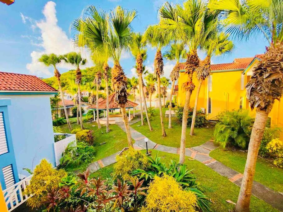 Hamo Tropical Piscine Proche Plage Apartment Sainte-Anne Luaran gambar