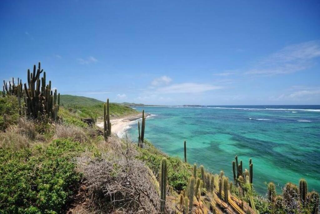 Hamo Tropical Piscine Proche Plage Apartment Sainte-Anne Luaran gambar